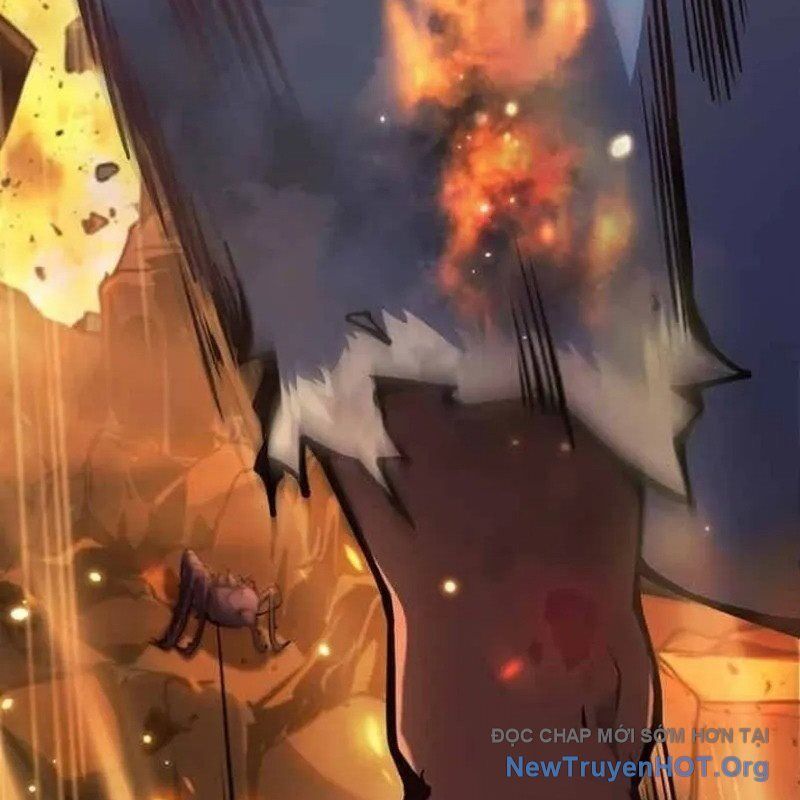 page 216