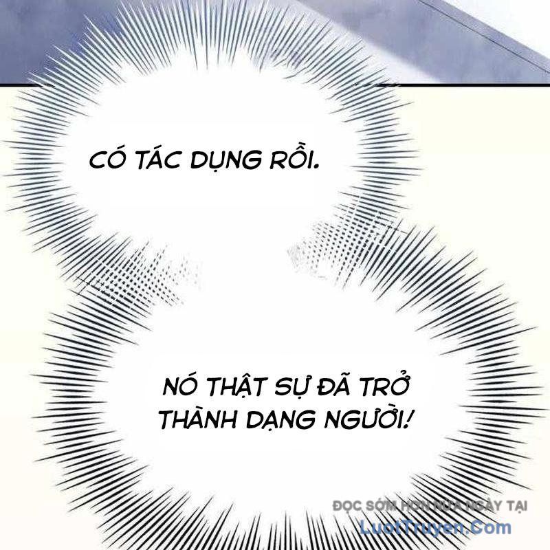 page 207