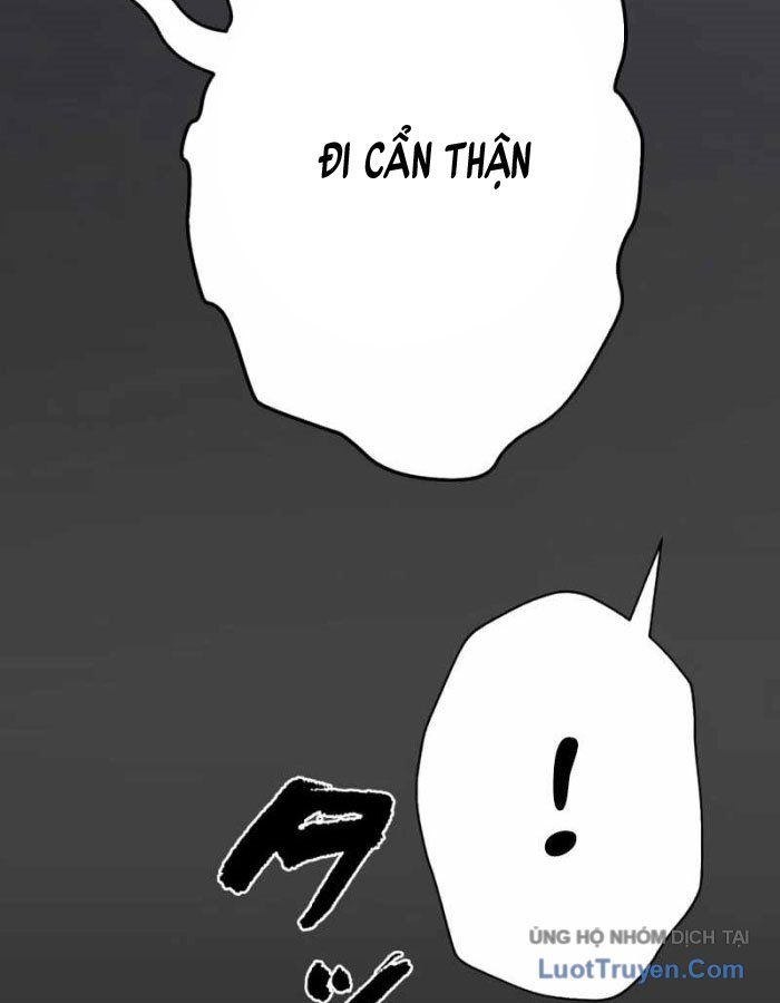 page 234