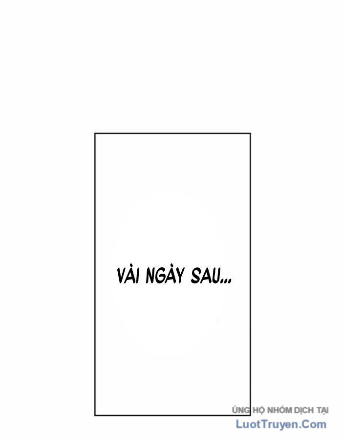 page 239