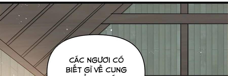 page 258