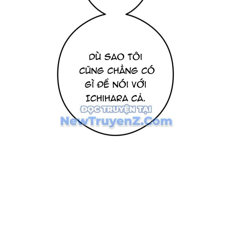 page 237