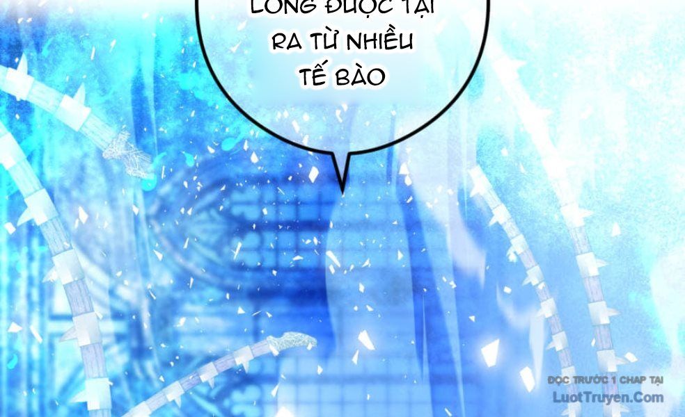 page 267