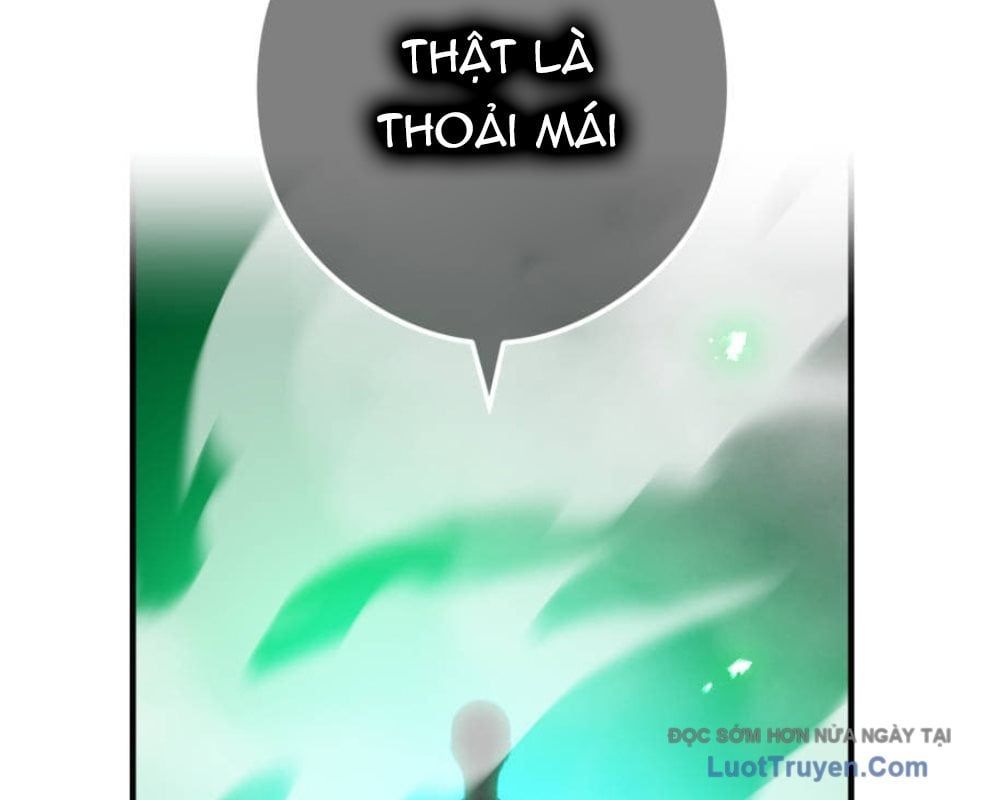 page 209