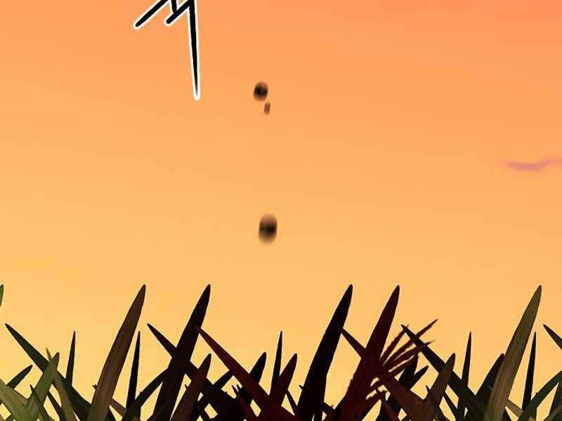 page 222