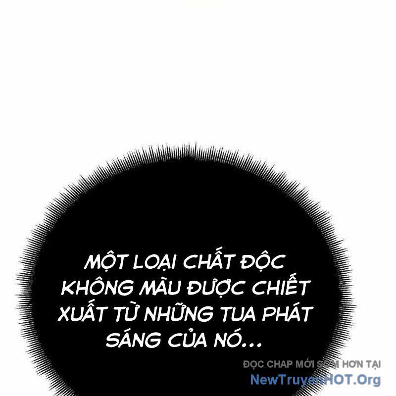 page 247