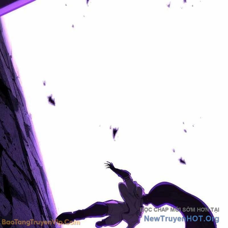 page 231