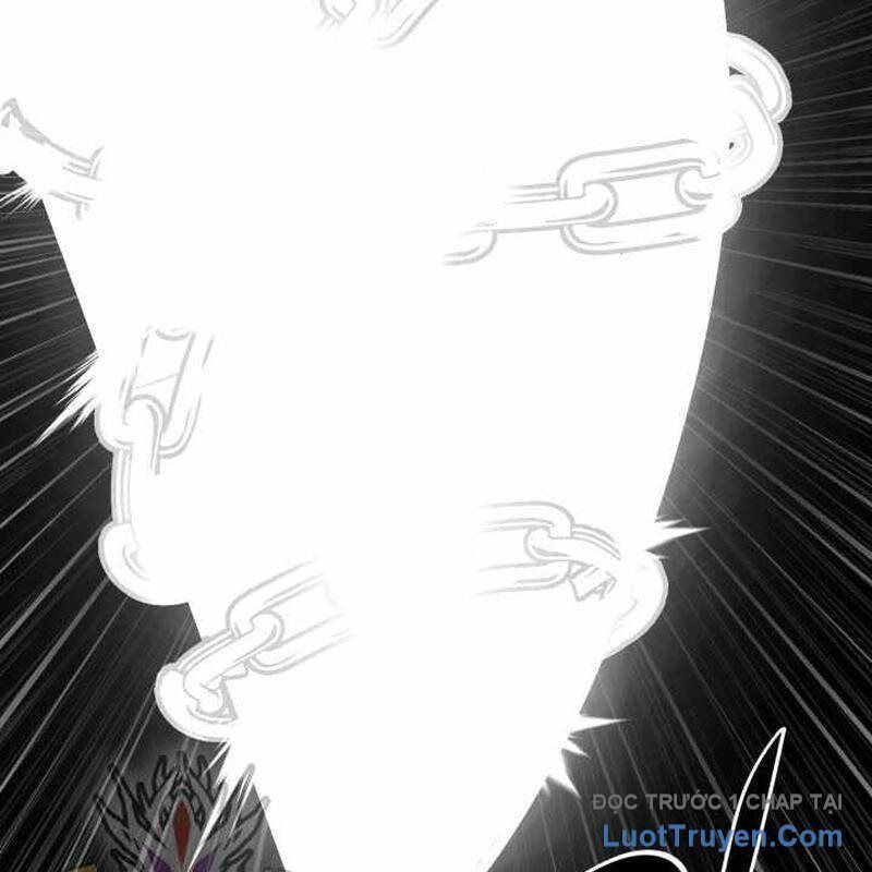 page 217
