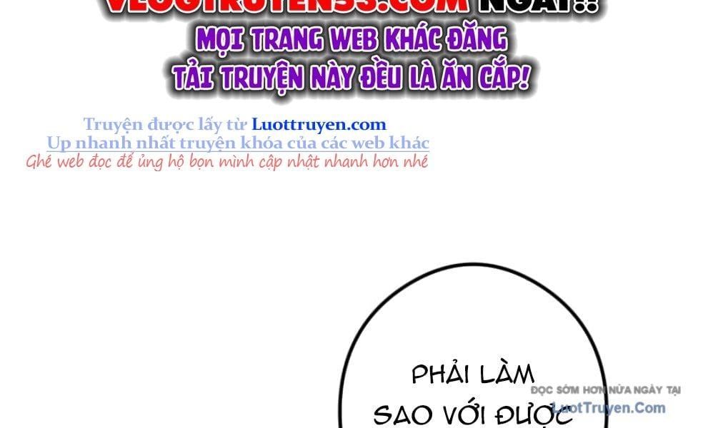 page 258
