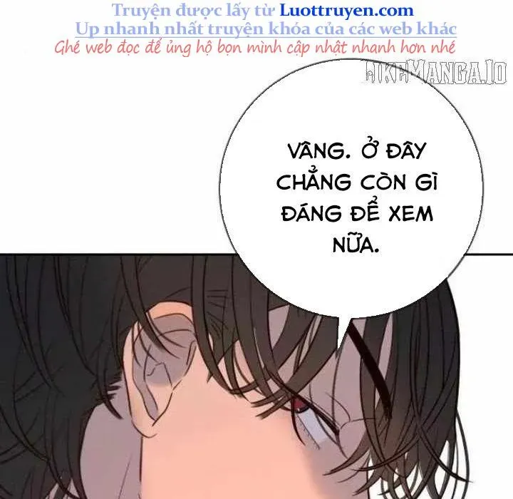 page 251