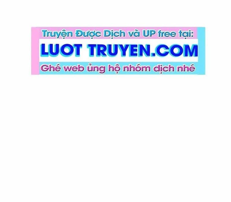 page 238