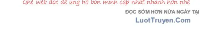page 231