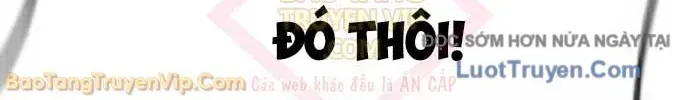 page 207