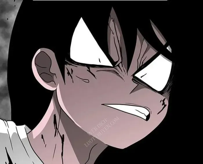 page 241