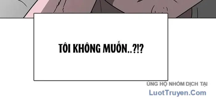 page 262