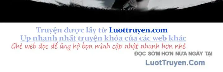 page 232