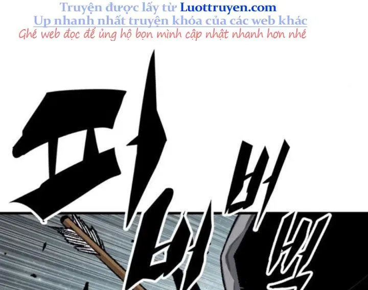 page 241