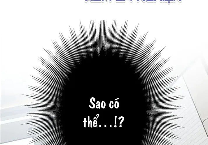 page 219