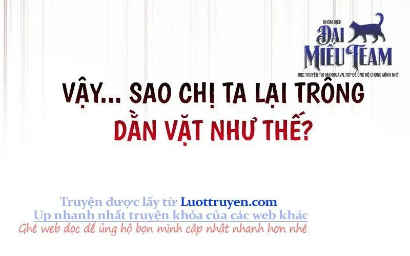 page 207