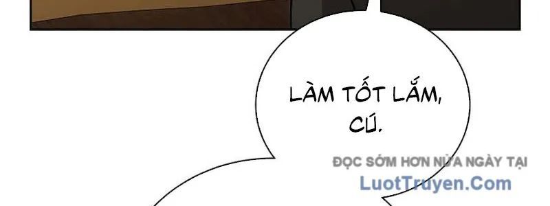 page 231