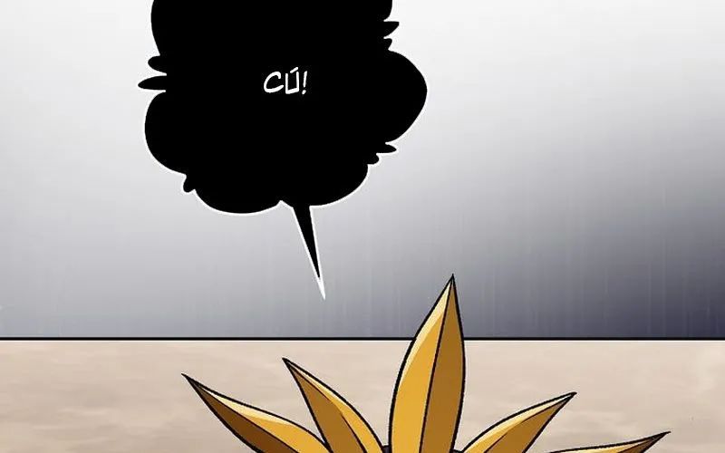 page 234
