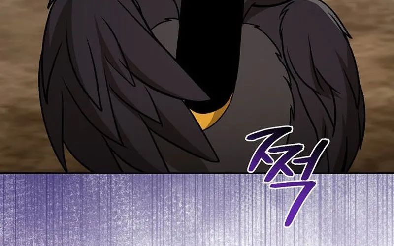 page 236
