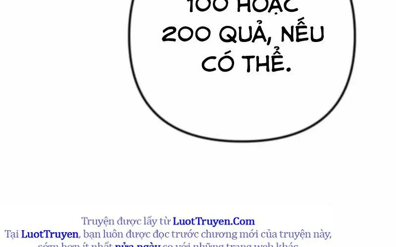 page 204