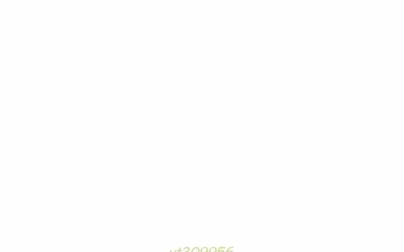 page 313