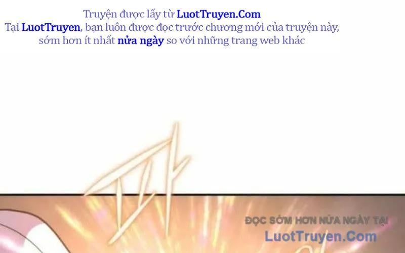 page 217