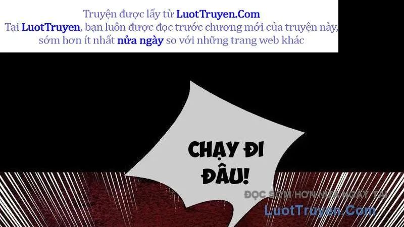 page 207