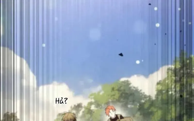 page 376