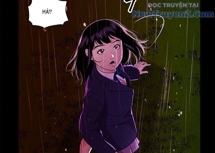 page 238