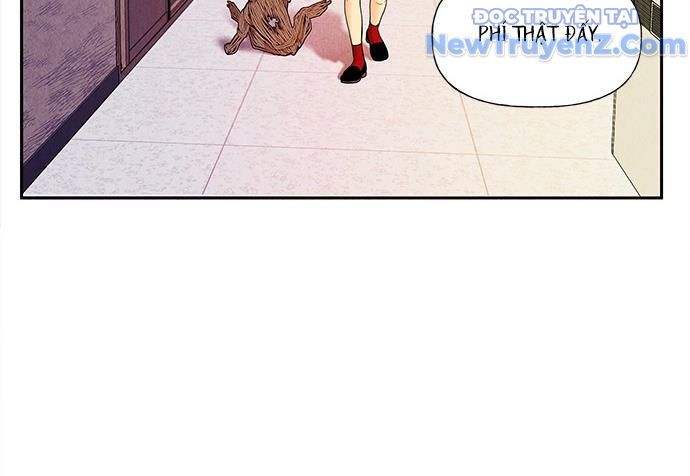 page 221
