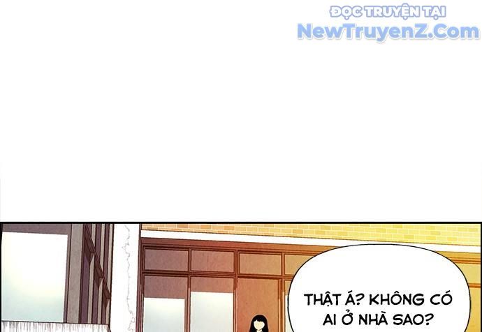 page 234