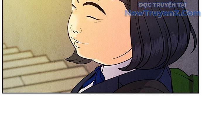 page 241