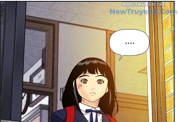 page 243