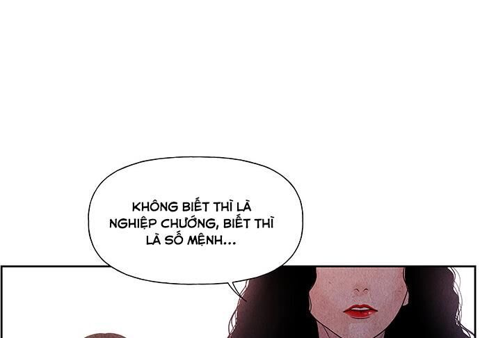 page 242