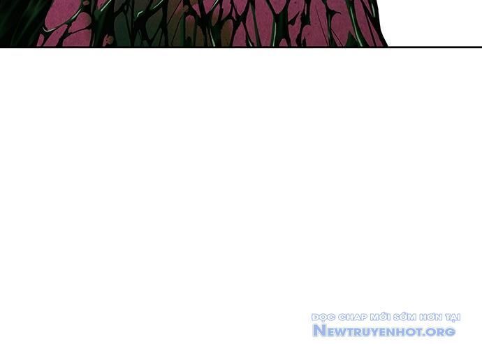page 217