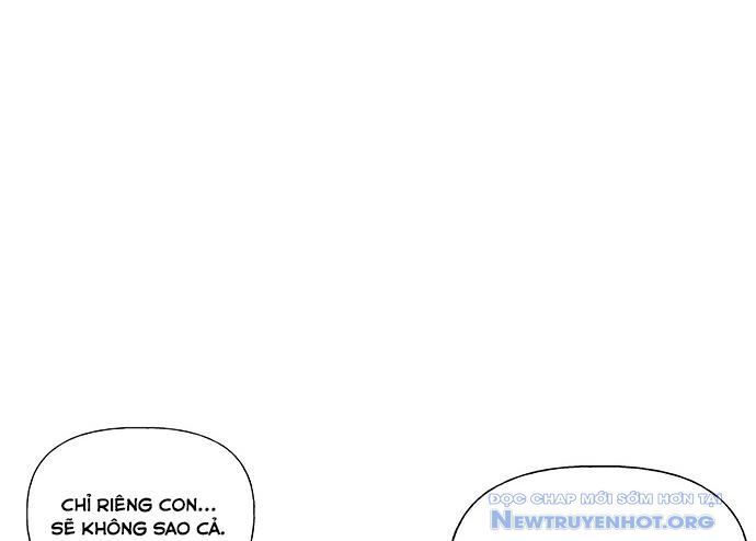page 243