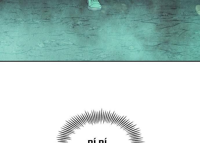 page 219