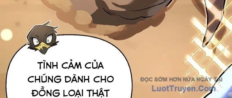 page 224