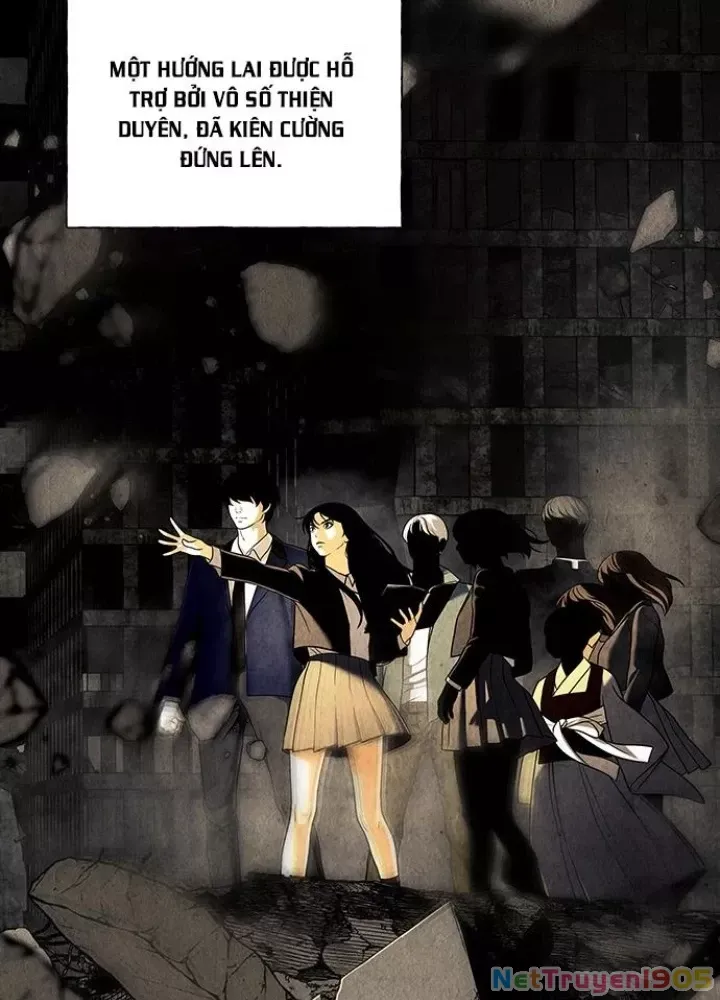 page 239