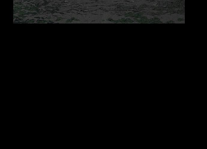 page 231