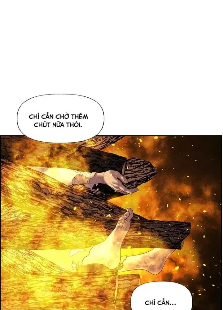 page 223