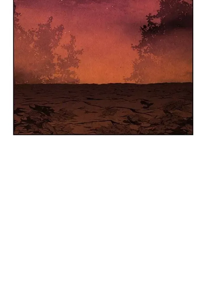 page 241