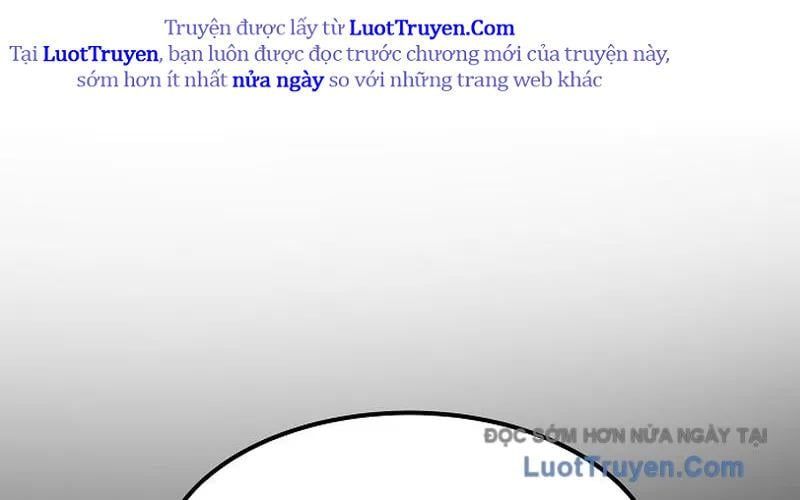 page 261