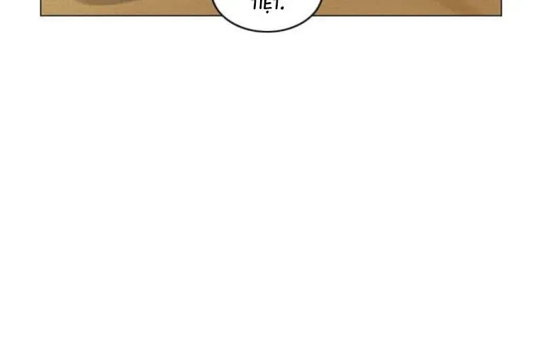 page 262