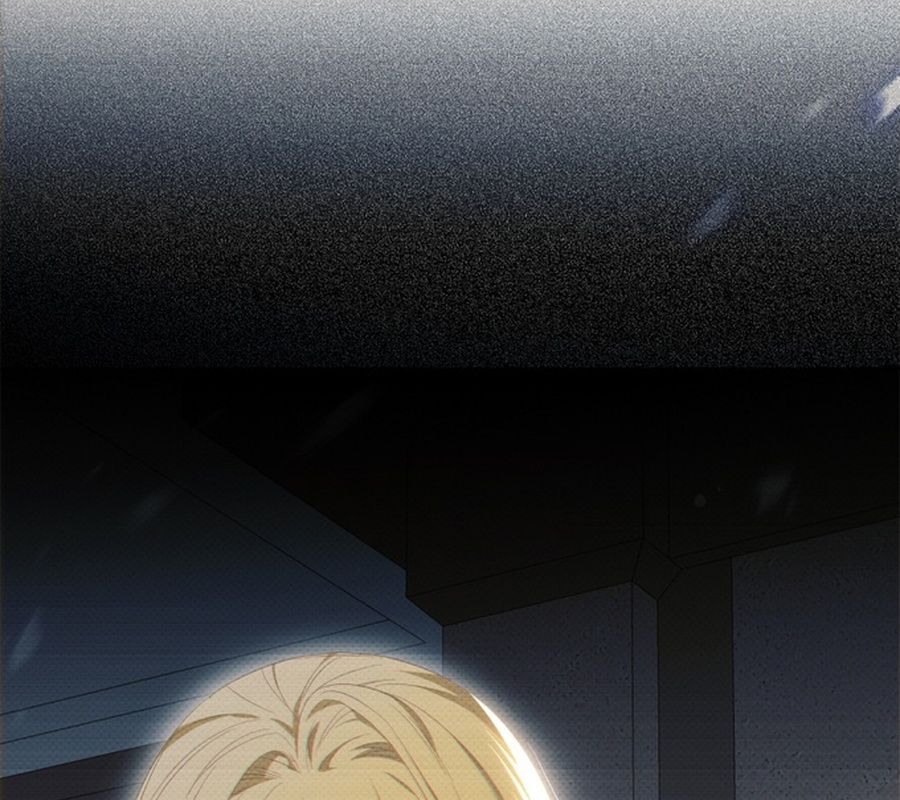 page 221