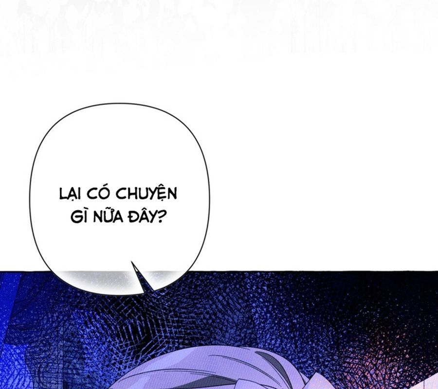 page 236