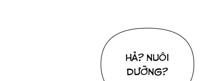 page 232